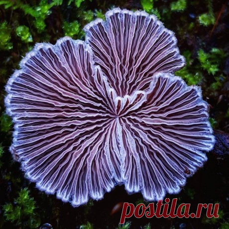 МОЯ ПЛАНЕТА 🌎🌎 Природа и путешествия