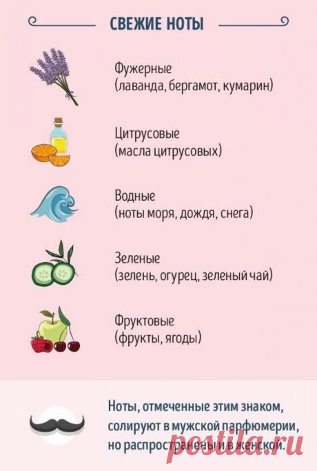 Руководство для тех, кто хочет разбираться в парфюме