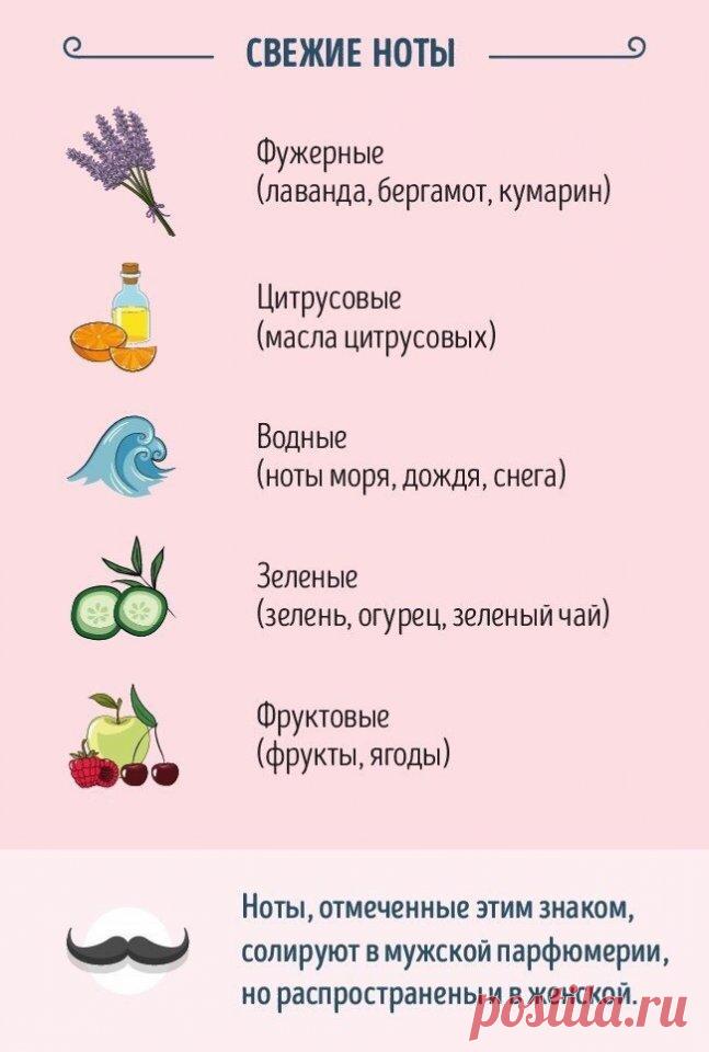 Руководство для тех, кто хочет разбираться в парфюме