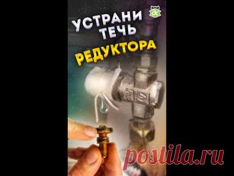 Shorts. Устранение течи дешёвого редуктора