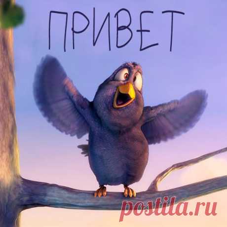 Привет! Обнимемся !