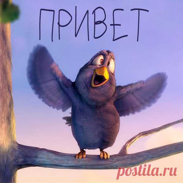 Привет! Обнимемся !