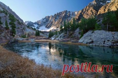 (15) Одноклассники