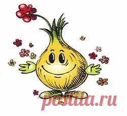 Маска для волос с луком и медом, против сечения кончиков. 

Решила поделиться с вами опытом, который проводила над своими волосами. Наверно все видели в интернете супер маски для волос. Вот и я решила попробовать одну из них.
Состав не сложный, все продукты можно найти дома или купить в ближайшем магазине. В него входит: тертый лук(4 ложки), мед(1 ложка), масло оливковое, можно любое растительное(1,5 ложки). Все это смешивается и накладывается на волосы по всей длине.