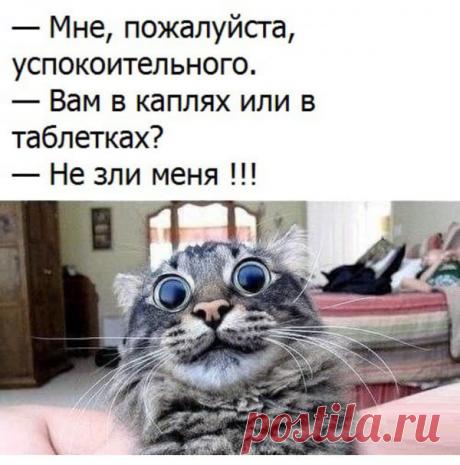 (2) Ольга Попова