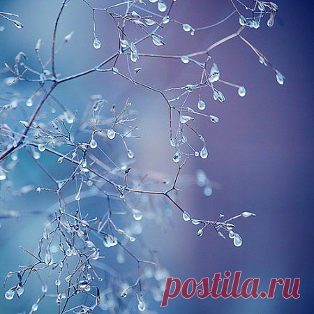 Замёршие слёзы.