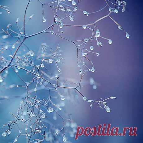 Замёршие слёзы.