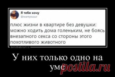 Демотиваторы-приколы (15 шт) - 17.07.2018