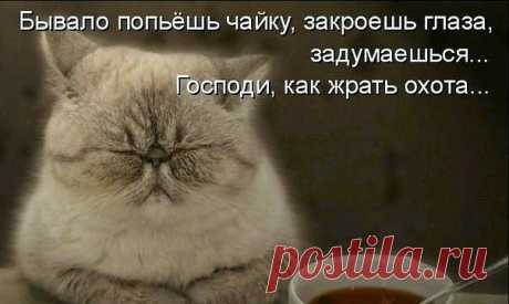 Медики лечат ПОЗИТИВОМ
♡♡♡ Иթนңส ♡♡♡ ßגเоδגẻңңลя β ณẻपזý