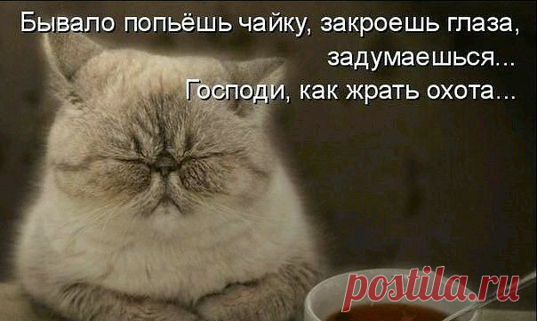 Медики лечат ПОЗИТИВОМ
♡♡♡ Иթนңส ♡♡♡ ßגเоδגẻңңลя β ณẻपזý