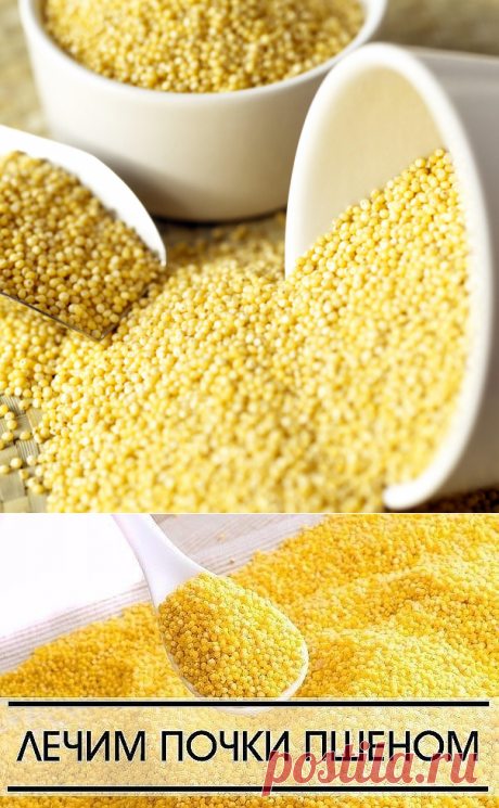 ХУДЕЕМ  И  ЛЕЧИМСЯ  С ПШЕНОМ