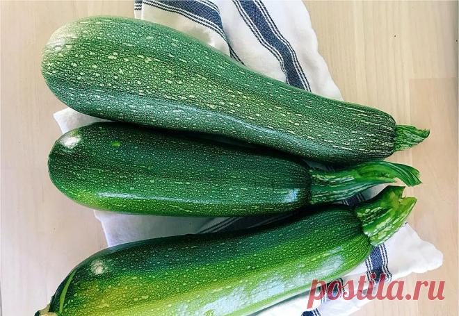 Быстрый и очень вкусный завтрак из кабачков. Готовлю каждое утро и не надоедает (делюсь необычным рецептом)
В этом году урожай кабачков у нас вышел особенно шикарным! Но дети кабачок не очень жалуют, а уж заготовки из него и вовсе не едят. Но как же не накормить семью свежими овощами со своего огорода в разгар сезона! Вот и приходится мне ради сына с дочкой идти на всякие ухищрения, чтобы замаскировать присутствие кабачка […]
Читай дальше на сайте. Жми подробнее ➡