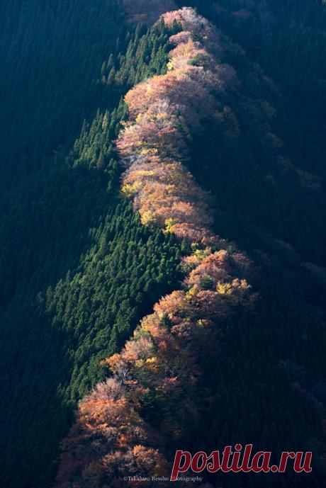 Rising by Takahiro Bessho – Beautiful 📷 Pictures