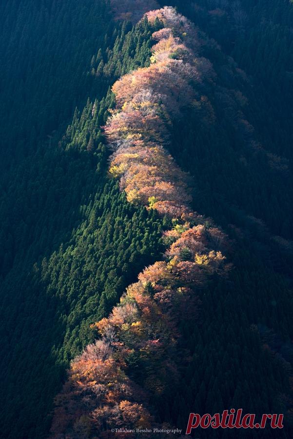 Rising by Takahiro Bessho – Beautiful 📷 Pictures