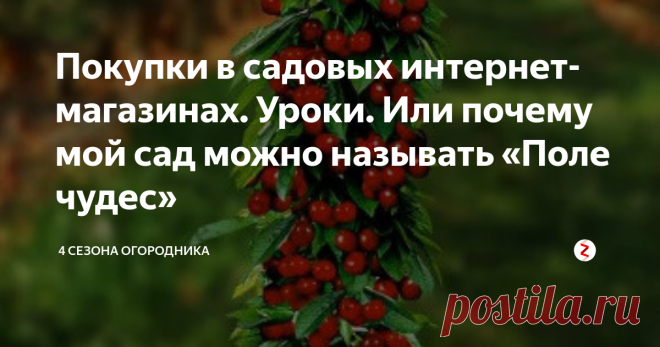 Покупки в садовых интернет-магазинах. Уроки. Или почему мой сад можно называть «Поле чудес» Наверное, каждый садовод и огородник желает сделать свой участок «самым-самым» … Детей-внуков порадовать, побаловать здоровыми чистыми вкусностями. Соседей удивить либо небывалым урожаем, либо какой-нибудь диковинкой. Завести себе экзотический сорт, на зависть округе. Ну как же без этого?!
Сказано – сделано. И не проблема это в наш продвинутый век. Интернет нам в помощь! Трудно перечесть сколько п