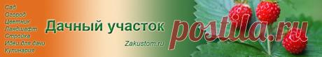 Календарь | Дачный участок