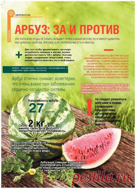 Арбуз: за и против