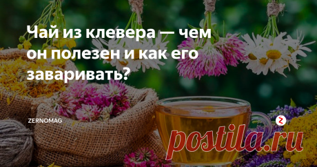 Чай из клевера — чем он полезен и как его заваривать? Напиток для здоровья. Поможет укрепить сосуды и избавиться от токсинов, укрепить иммунитет и противостоять раковым клеткам, забыть про вирусы и инфекции чай из клевера.