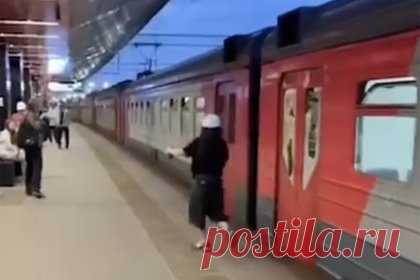 В Москве школьница разгромила электричку и попала на видео