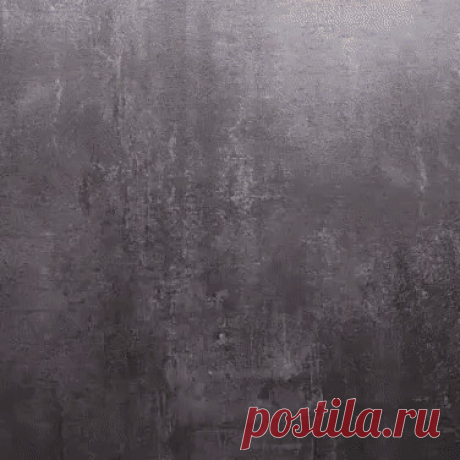 Фотография в альбоме «Гифы»