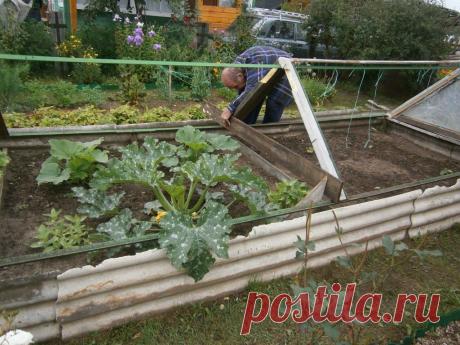 (99) Одноклассники