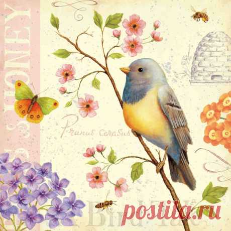 Винтажные картинки с птицами. 1 часть. — Творческая мастерская Марины Трублиной