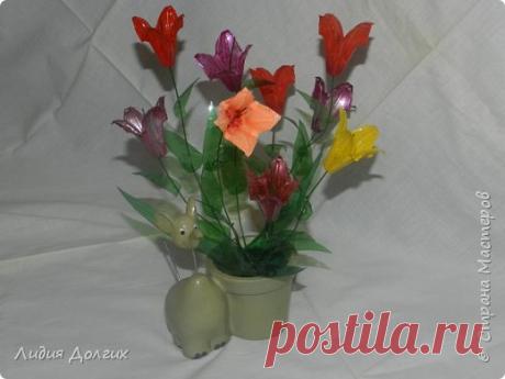 Цветочки из упаковки от перепелиных яиц | Страна Мастеров