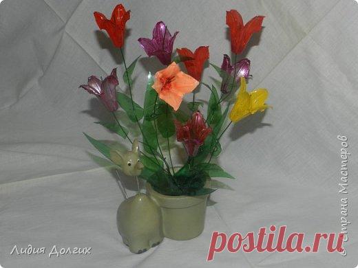 Цветочки из упаковки от перепелиных яиц | Страна Мастеров