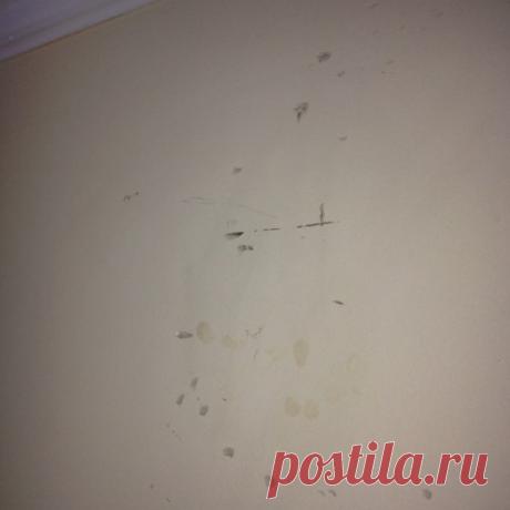 WD-40 в доме - 12 чудесных способов