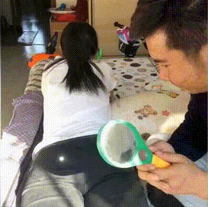 Шутник года