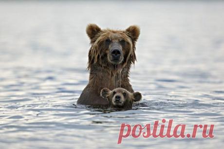 30 лучших снимков National Geographic за год / Всё самое лучшее из интернета