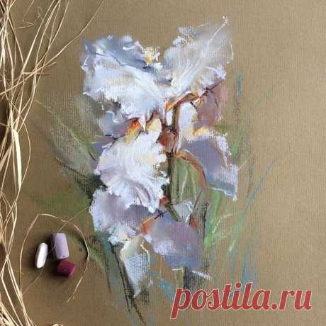Белые ирисы. 
Пастель. Бумага DALER-ROWNEY 30x40
У меня с ирисами любовь поздняя... Раньше их не замечала даже. Думаю, обязательно должны появиться в моем саду. А пока листаю свои фотоархивы... Эти цветут в саду Клода Моне.

#art #artist #drawing #graphic #graphics #softpastel #softpastels #пастель #сухаяпастель #этюд #рисунок #скетч #sketch #topcreator #artstagram #worldofartists #art_we_inspire #art_collective #artcollective #arts_gallery #arts_help #artworks_artist #art...