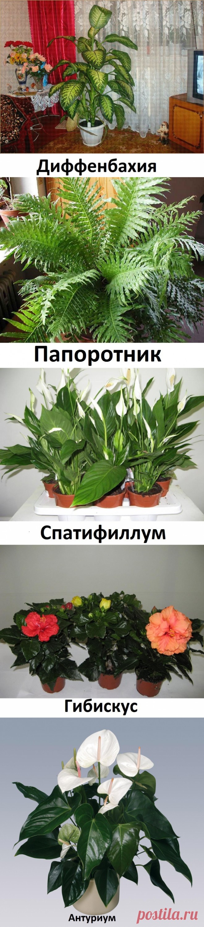Одноклассники