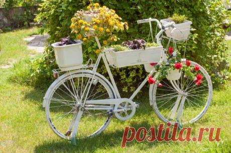 Творчество в саду: 6 креативных идей клумб своими руками