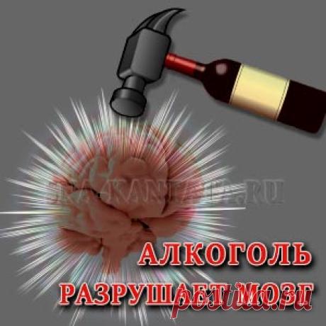 Алкоголь разрушает мозг: миф или правда