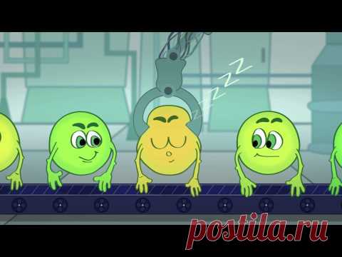 VISION-БИО ин!Программа на 4 месяца персонализированная, индивидуальная именно для вас,  ключ к долголетию, всего за 120 дней помогает улучшить свое здоровье, и  качество своей жизни, заново родиться, бесплатный план питания 5 поколения, персонализированный к вашему организму, 1,5 триллиона тщательно подобранных штаммов живых полезных бактерий. Заказать и обсудить по тел. 89171255043, 89674858539 Подобрать  и заказать можно здесь http://client.visionshop.me/ указав код консультанта-327-3744336