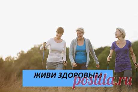 Для тех кто хочет глубже и серьезнее разбираться в вопросах здоровья, для кого уже реально необходимо знать как сохранить и  защитить свое здоровье и здоровье своих близких, я создала закрытый канал в Telegram.
👉В этом канале вы сможете разобраться каковы основные причины болезней, что влияет на наше здоровье, и как научиться помогать себе.
👉У вас будет возможность узнать как поддерживать свое здоровье, как помогать себе и своим близким.