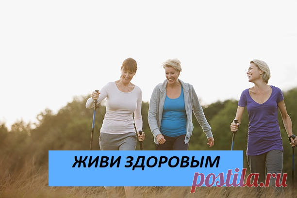 Для тех кто хочет глубже и серьезнее разбираться в вопросах здоровья, для кого уже реально необходимо знать как сохранить и  защитить свое здоровье и здоровье своих близких, я создала закрытый канал в Telegram.
👉В этом канале вы сможете разобраться каковы основные причины болезней, что влияет на наше здоровье, и как научиться помогать себе.
👉У вас будет возможность узнать как поддерживать свое здоровье, как помогать себе и своим близким.