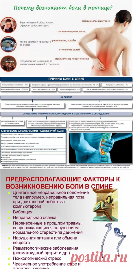 причины болей в спине факты: 9 тыс изображений найдено в Яндекс.Картинках