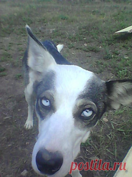 Чудо природы
