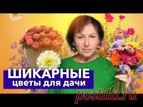 ТОП-10 ОДНОЛЕТНИХ ЦВЕТОВ, которые покорят ваше сердце и не доставят хлопот