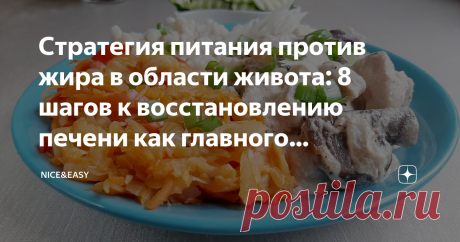 Стратегия питания против жира в области живота: 8 шагов к восстановлению печени как главного метаболического регулятора Статья автора «Nice&Easy» в Дзене ✍: Всем привет! Я часто думаю о том, что мы недооцениваем роль жира в современных условиях.