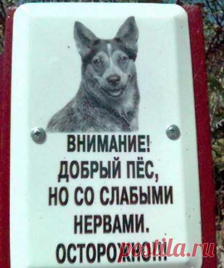 Когда хозяин с юмором