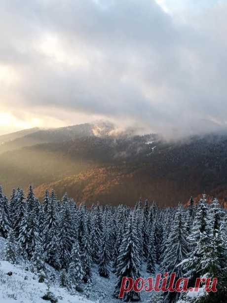 Карпати