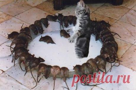 Мой Мир@Mail.Ru