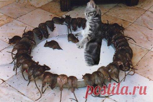 Мой Мир@Mail.Ru