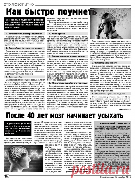 Как быстро поумнеть. После 40 мозг начинает усыхать