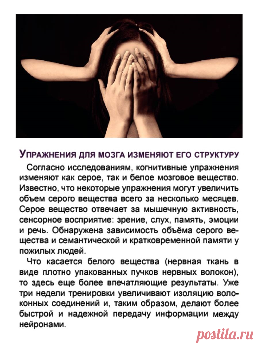 Упражнения для мозга изменяют его структуру