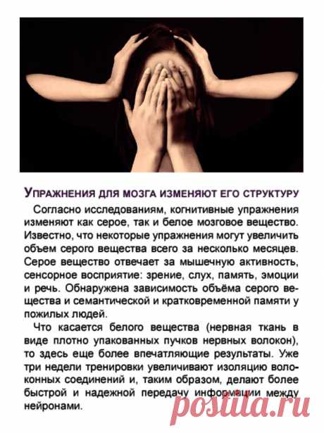 Упражнения для мозга изменяют его структуру