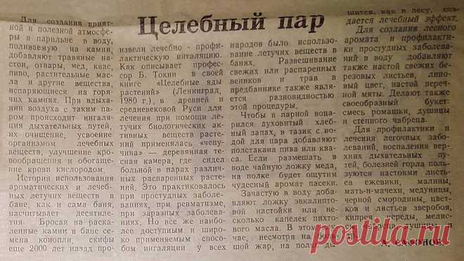 Целебный пар